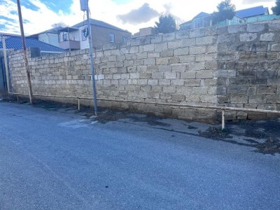 image 378255