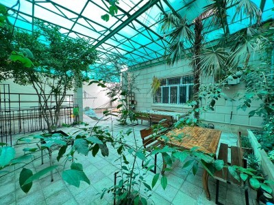 image 378259