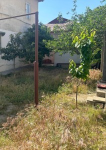 image 378260
