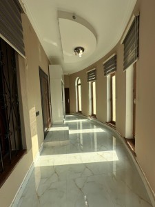 image 378261