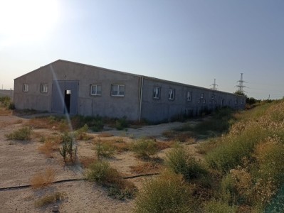 image 378263