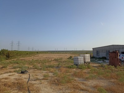 image 378263
