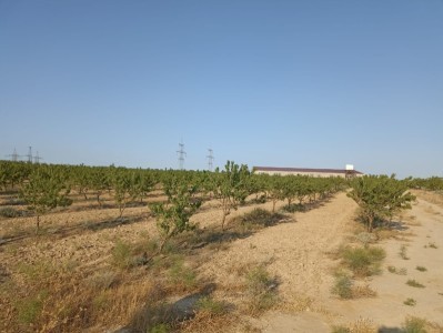 image 378263