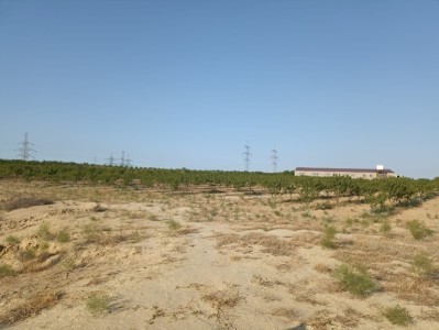 image 378263