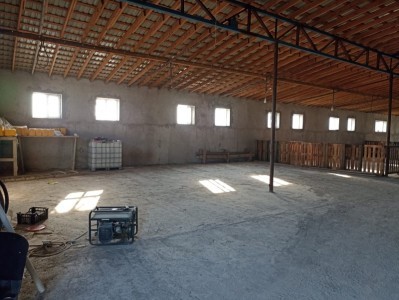 image 378263