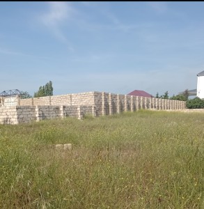 image 378264