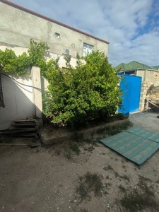 image 378265