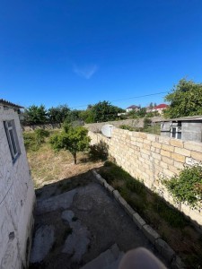 image 378272