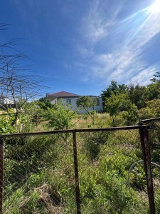 image 378272