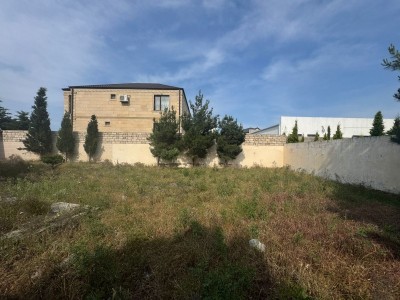 image 378295