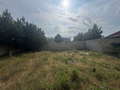 image 378295
