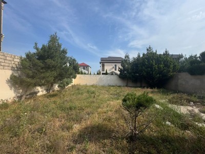 image 378295