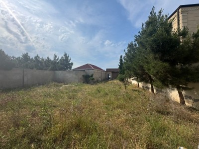 image 378295