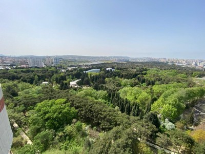 image 378303