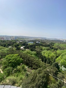 image 378303
