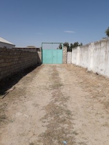 image 378332
