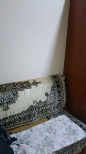 1 sot həyət / bağ evi