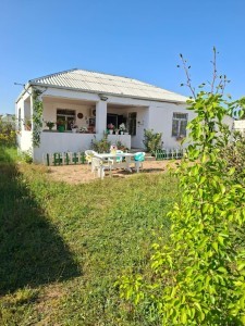 5 sot həyət / bağ evi
